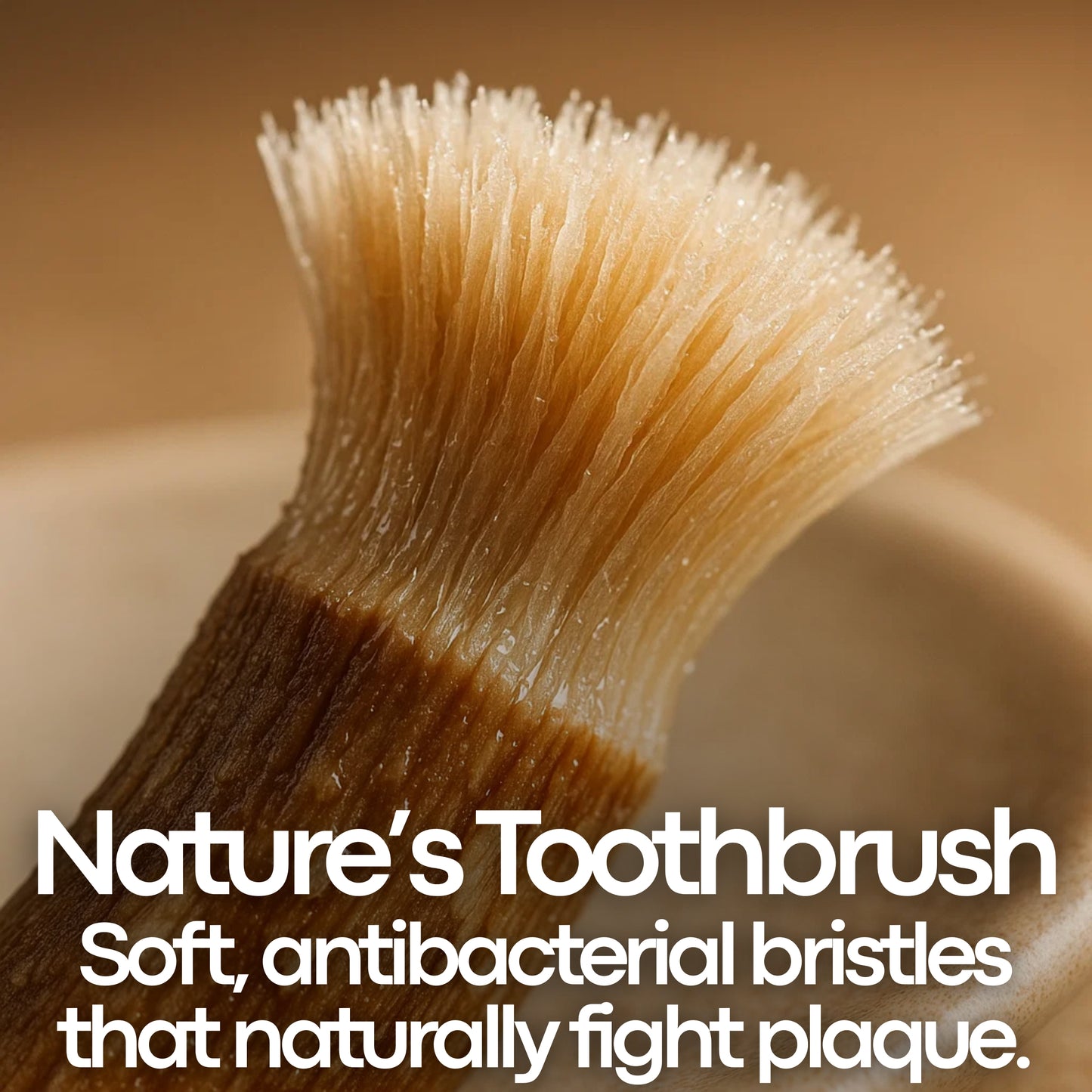 Miswak Stick Pack - Cleans Teeth Naturally