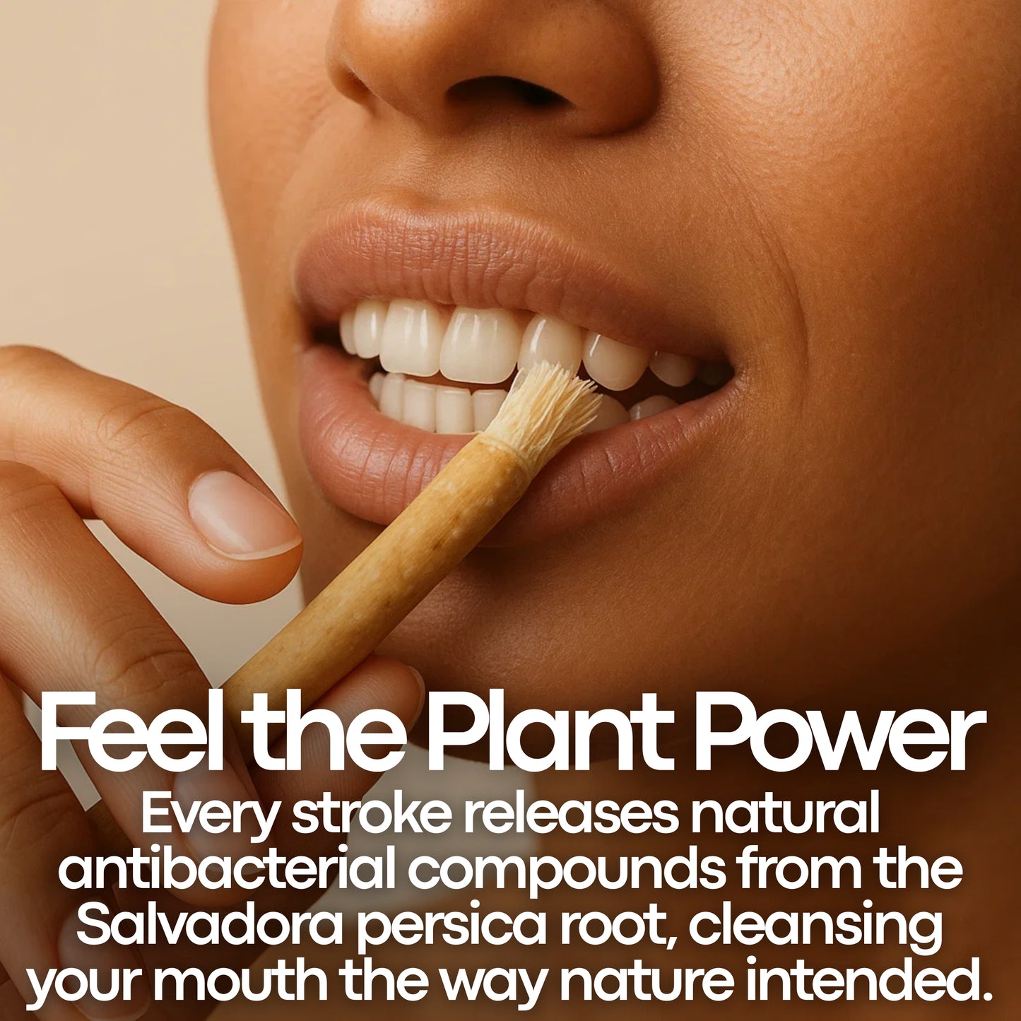 Miswak Stick Pack - Cleans Teeth Naturally