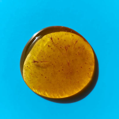 Quercetin