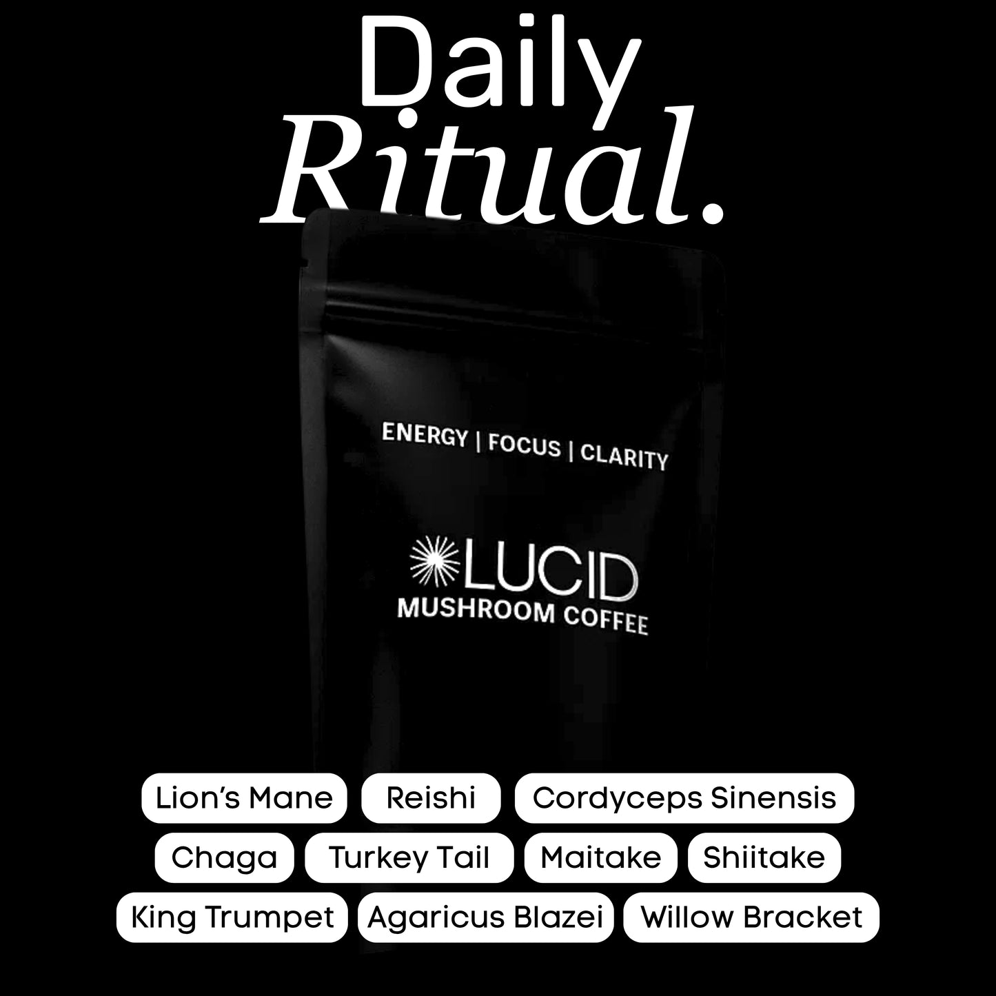 LUCID™ Welcome Kit