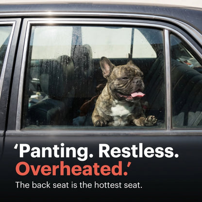 BackSeat Cooling Fan