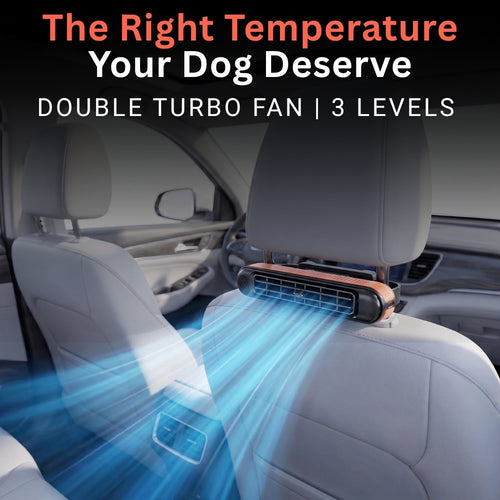 BackSeat Cooling Fan
