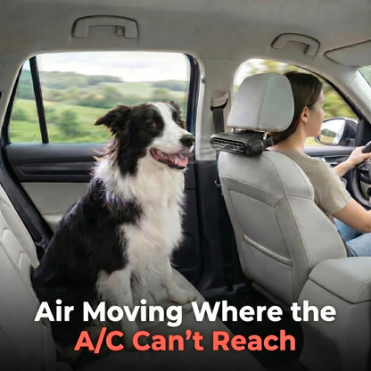 BackSeat Cooling Fan