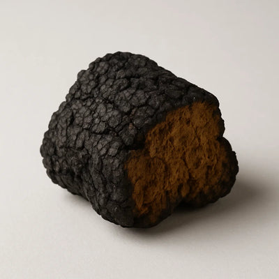 Chaga