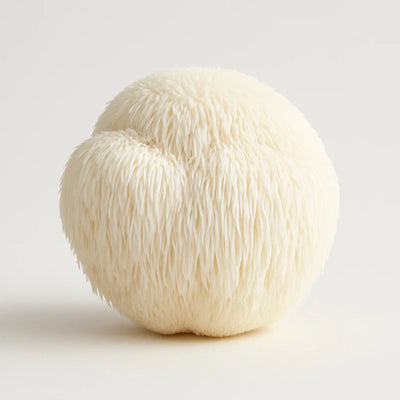 Lion’s Mane