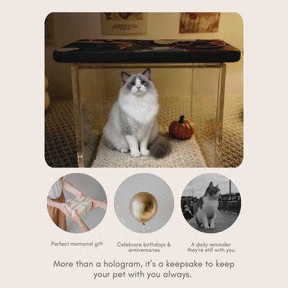 Custom 3D Pet Memorial Hologram
