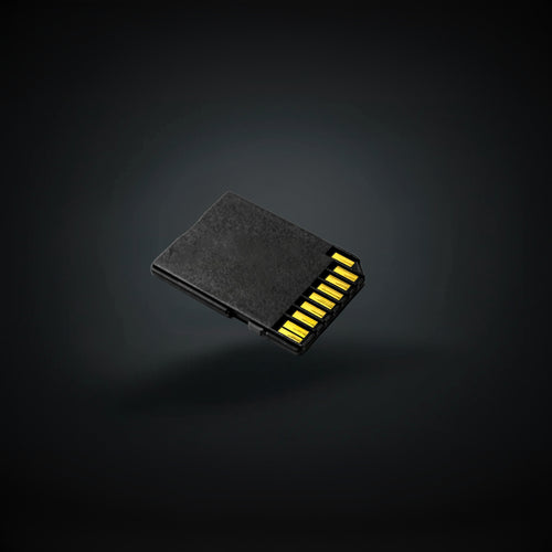 SD Card